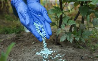 Aluminum Sheets & Coils